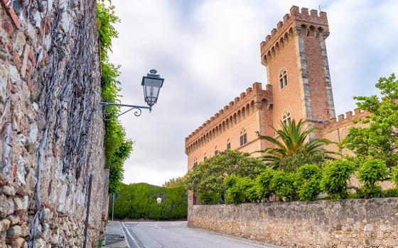 Castello medievale con torre e mura in pietra, circondato da alberi e vegetazione.