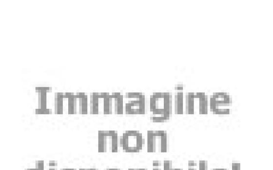 Bambini felici su una giostra colorata nel parco divertimenti, mani alzate.