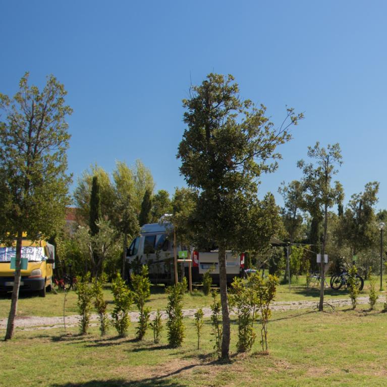 Camper parcheggiati in un'area verde con alberi e cielo sereno.