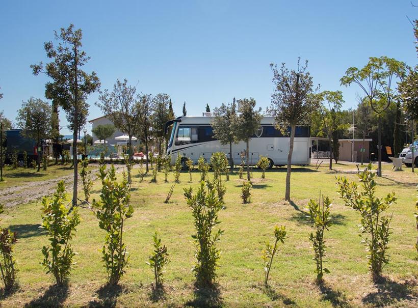 Camper parcheggiato in un'area verde con alberi e cielo sereno.
