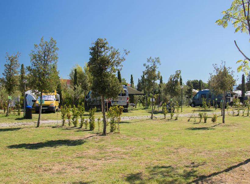Campeggio con camper tra alberi e prato verde sotto un cielo sereno.