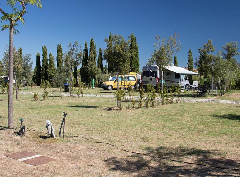 Camper e furgone parcheggiati in un'area verde con alberi e cielo sereno.