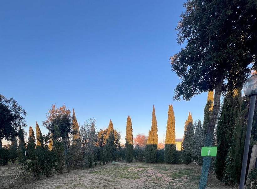 Giardino con cipressi, cielo sereno e cartello verde con numero uno.