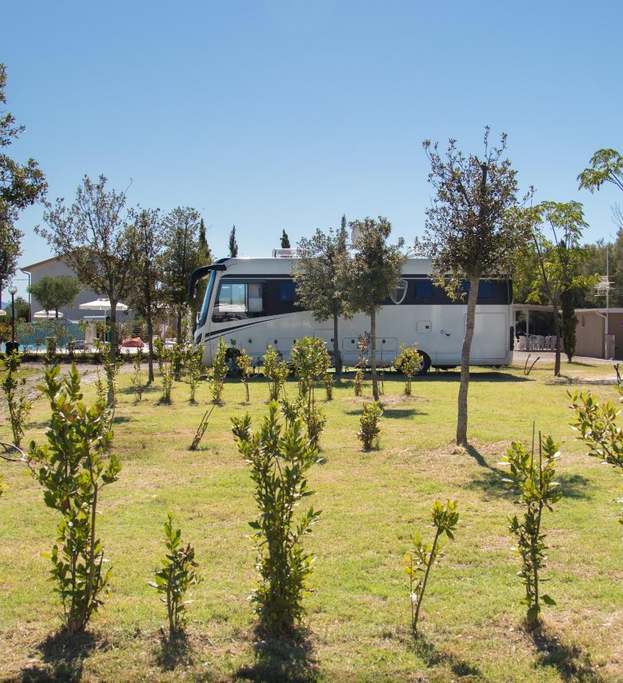 Camper parcheggiato in un'area verde con alberi e sole splendente.